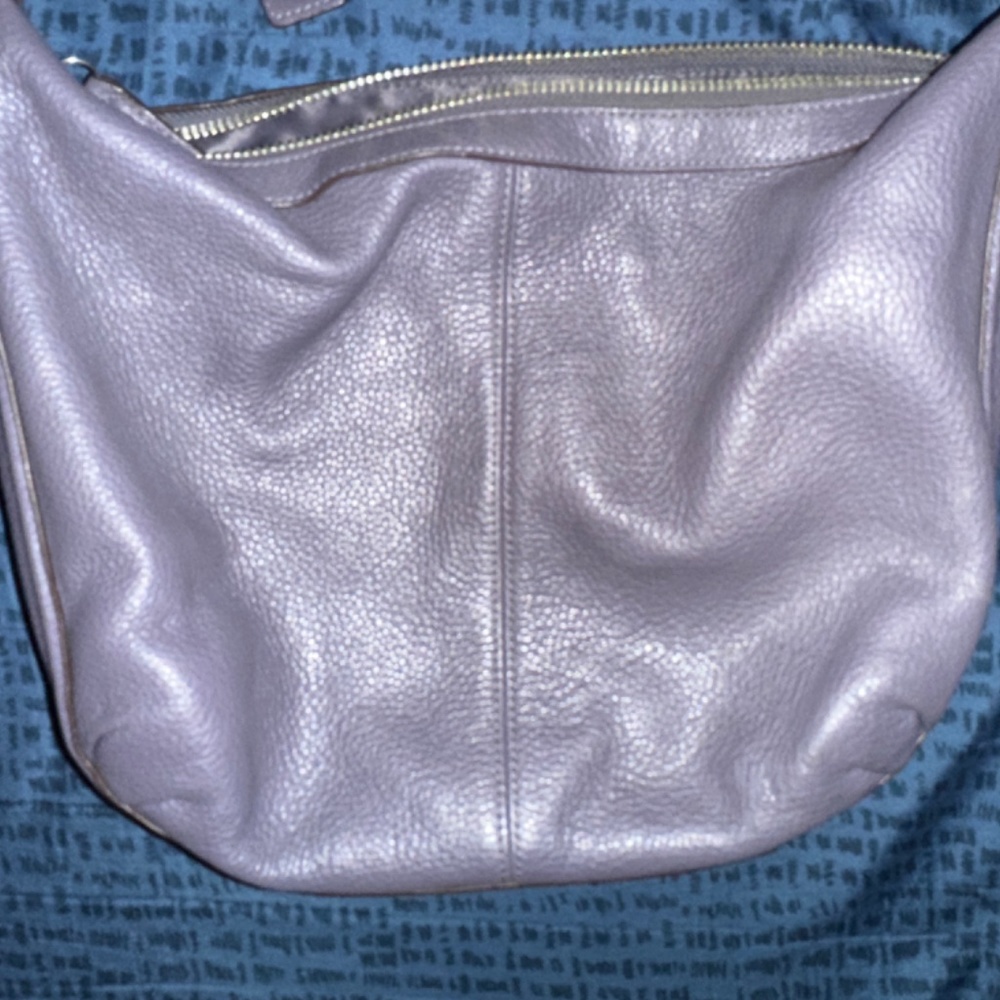 Coach Hobo Bag